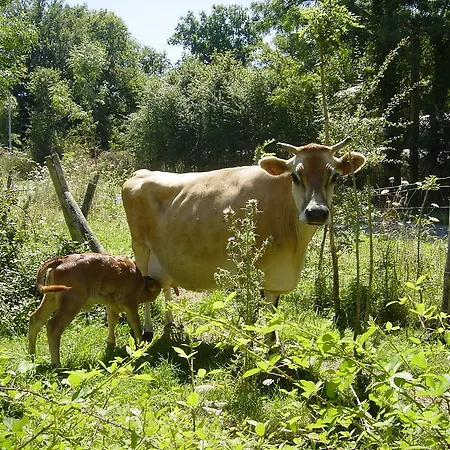 Chez Tartaud * Lathus St Remy