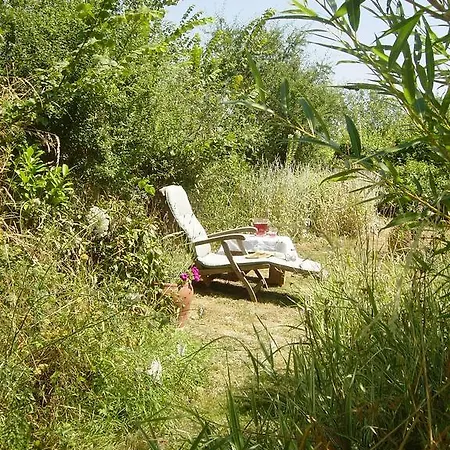 Дом отдыха Chez Tartaud *